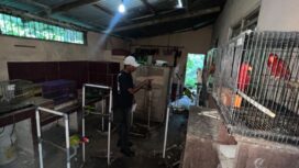 Selain 57 ekor burung hidup, penyidik juga menyita 20 sangkar burung, 18 tangkringan, dua kotak kayu tempat bertelur, serta satu unit telepon genggam yang diduga berkaitan dengan aktivitas tersebut.