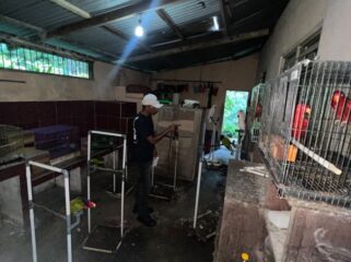 Selain 57 ekor burung hidup, penyidik juga menyita 20 sangkar burung, 18 tangkringan, dua kotak kayu tempat bertelur, serta satu unit telepon genggam yang diduga berkaitan dengan aktivitas tersebut.